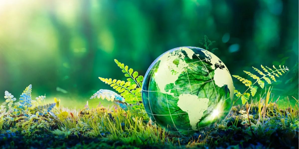 Eco-Friendly Living Small Changes for a Sustainable Lifestyle